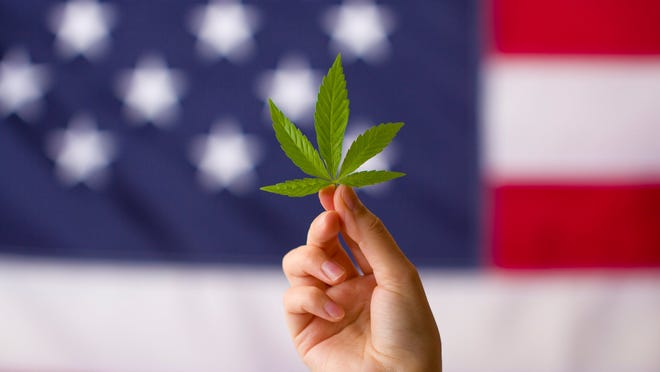 Marijuana leaf with U.S. flag in the background.
