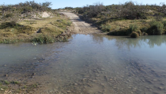 A portion of the Black River in southern Eddy County is the last known habitat of the Texas hornshell mussel, a rare mollusk that could be listed as an endangered species.