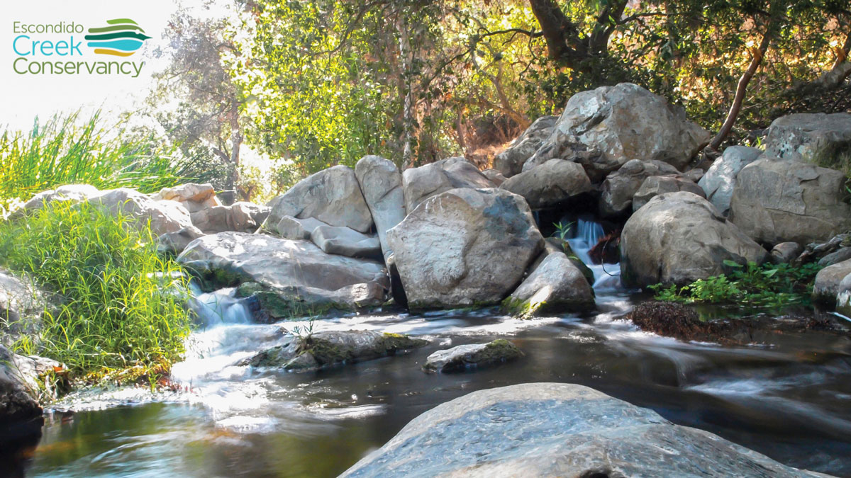 The Escondido Creek watershed extends from above Lake Wohlford, through the communities of Escondido, Harmony Grove, Elfin Forest and Rancho Santa Fe and into the San Elijo lagoon in Solana Beach and Encinitas. Photo courtesy of Escondido Creek Conservancy