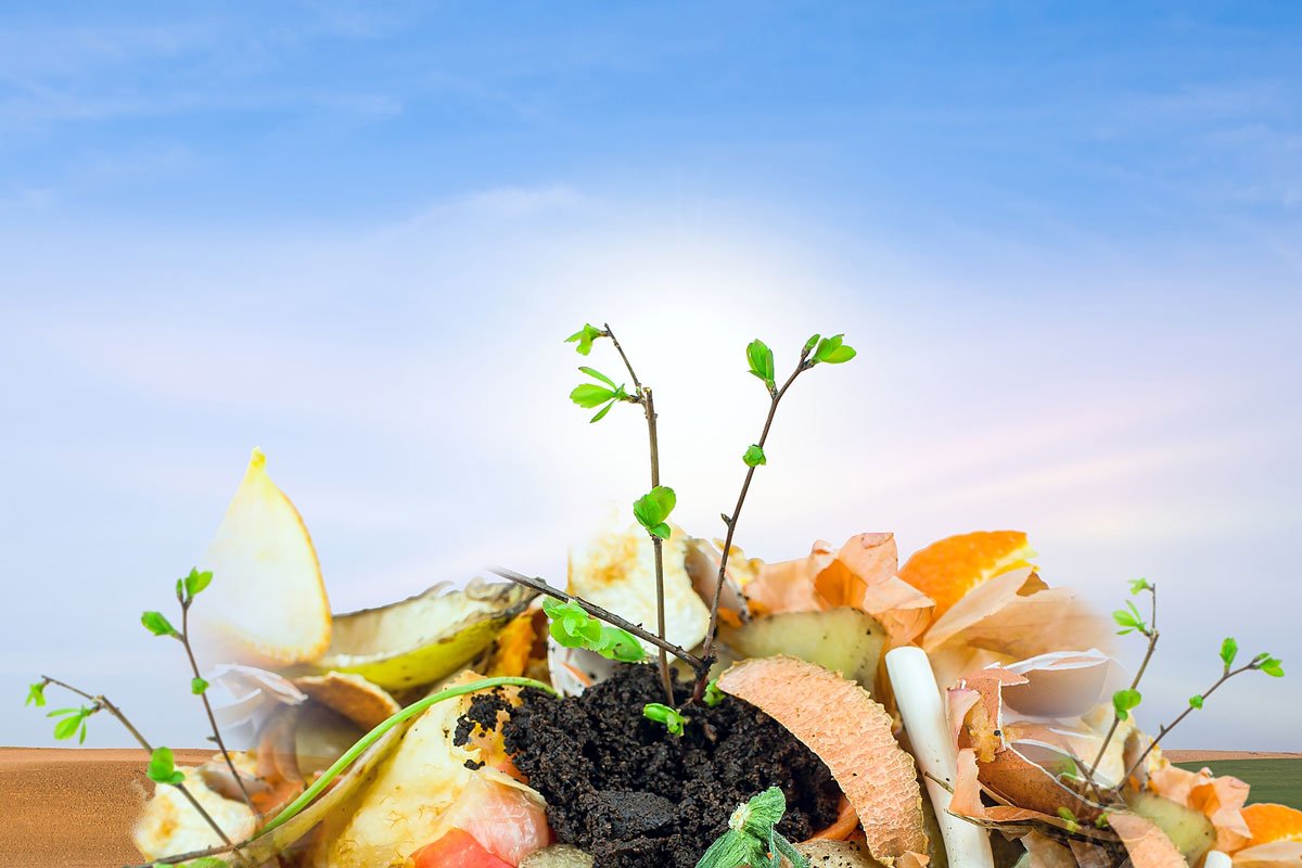 Carlsbad takes first steps toward plastics ban, sets plan for organic waste