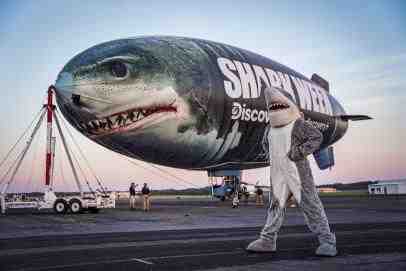 Is Noah Schnapp in Shark Week?